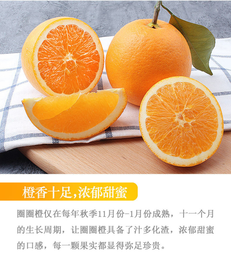 《实力》秭归脐橙，电商社团商超市场外贸出口，农户一手货