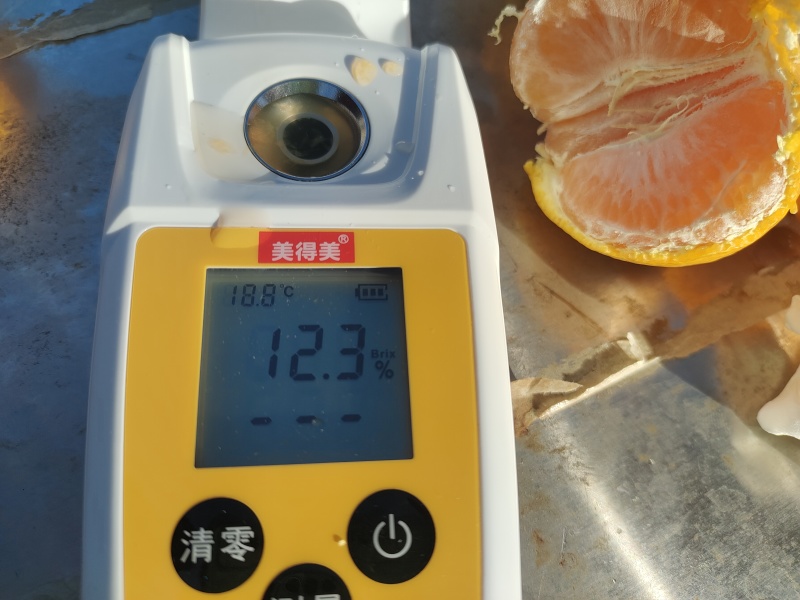 上海崇明长兴岛宫川蜜橘，皮薄，汁水多，糖度高