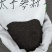 太子参种子