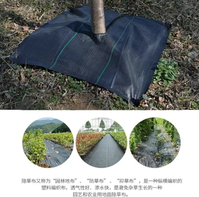 打孔防草布特点，透气，透水，保湿，保肥，提高产量。