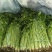 本地新鲜芹菜大量上市产地一手货源支持物流发货质量好