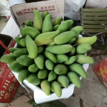 海南象牙芒.电商货..全国发货