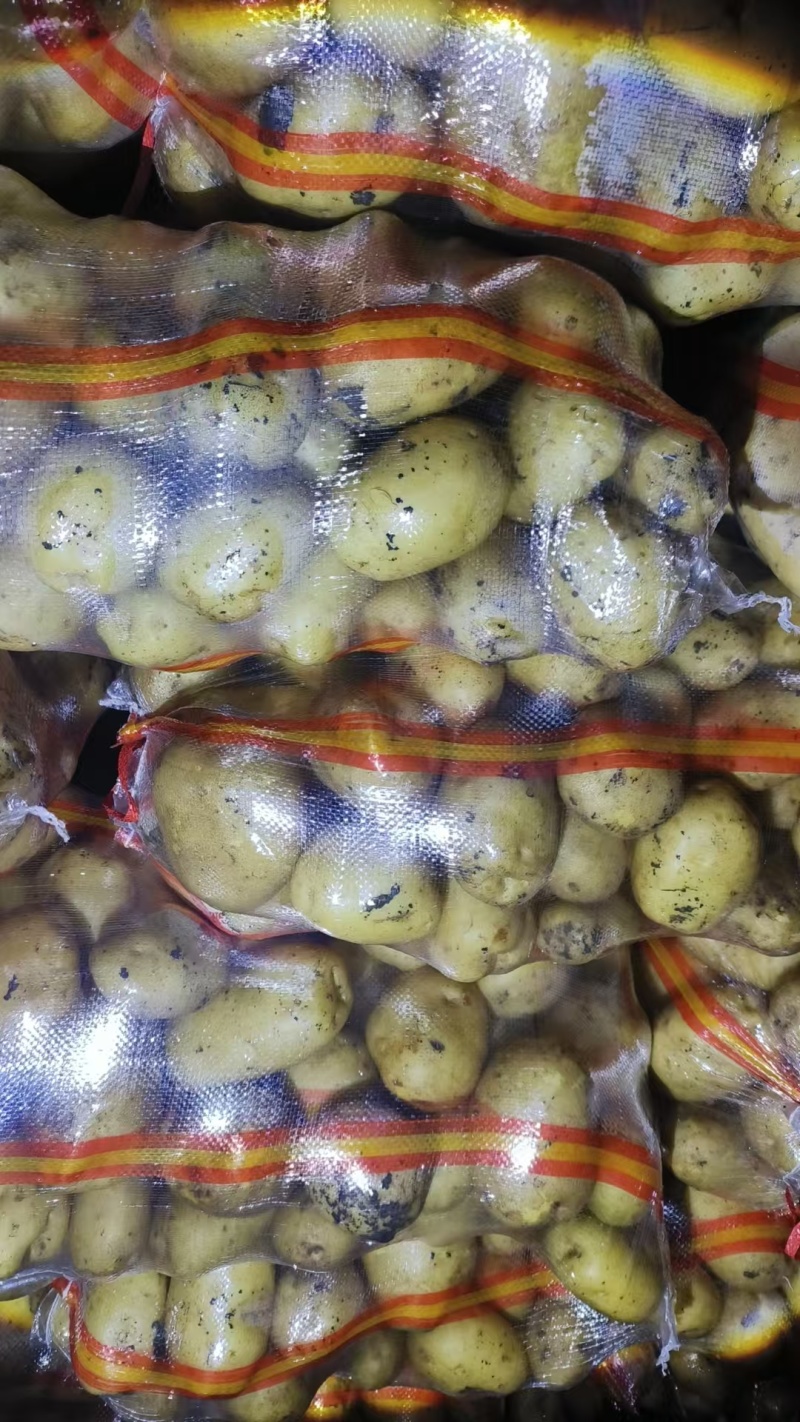产地库存翻包干洗精品实验一，龙丹一，V7，大量出货中