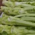 四川棒菜，无黑无毛，皮色光亮，清秀！