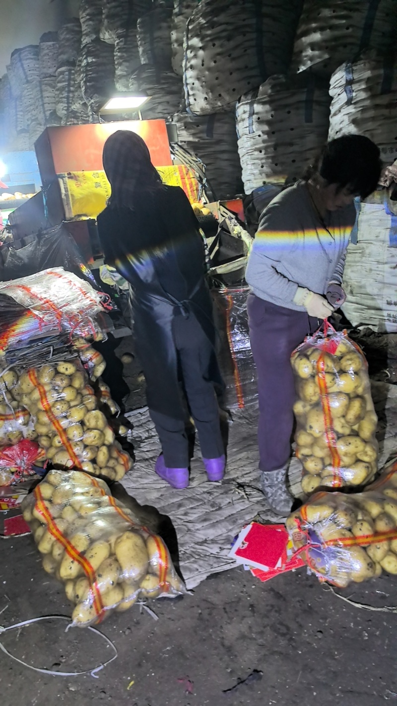 内蒙优质黄心土豆，产地直发.干洗出货大量供应