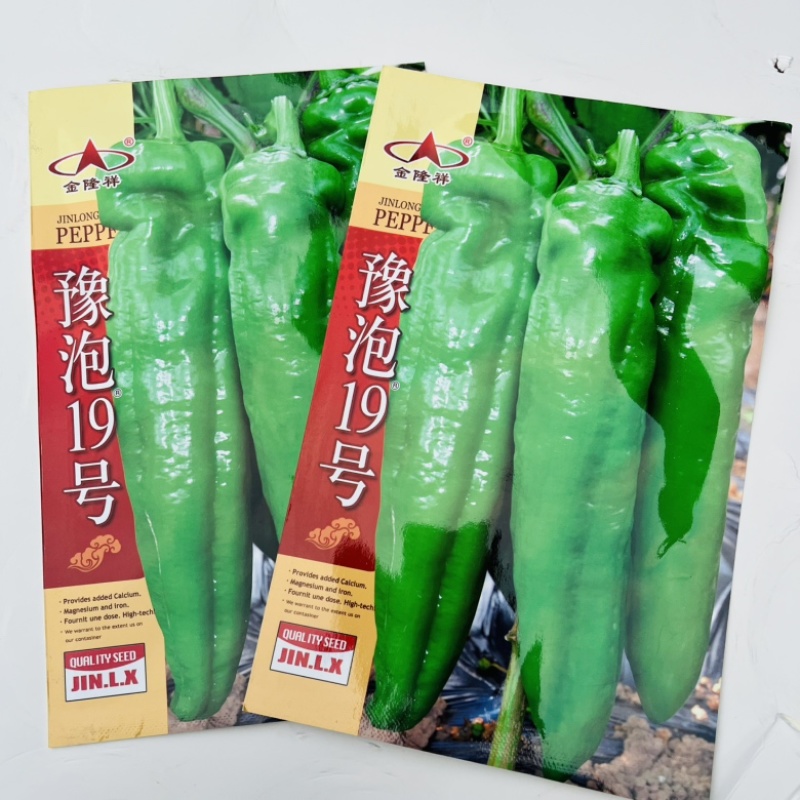 金隆祥豫泡19号辣椒种子品种，杂交一代早熟品种种子