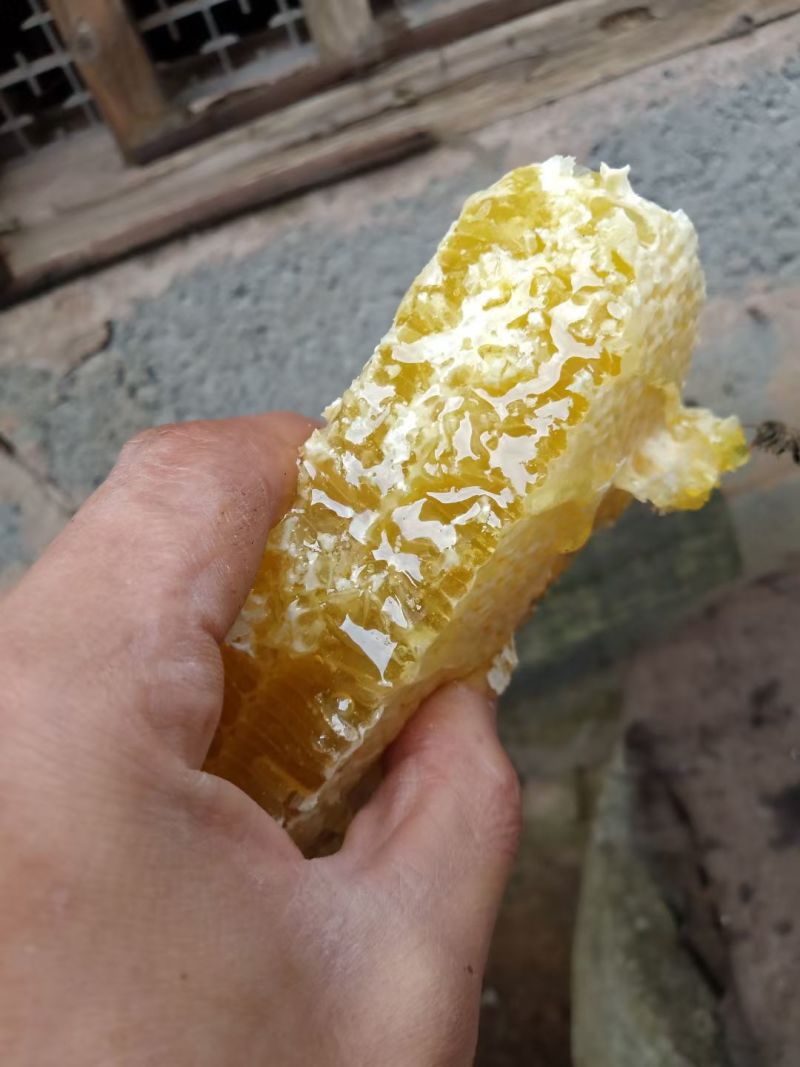 土蜂蜜