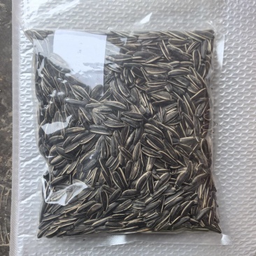 原味瓜子，可定制