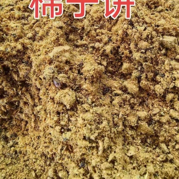 啦啦啦啦