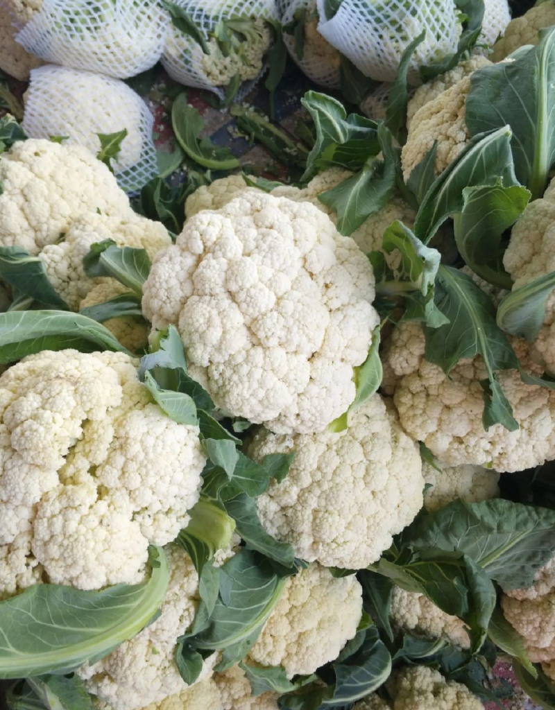 湖北松花菜有机花菜大量上市品质保证，欢迎来电咨询