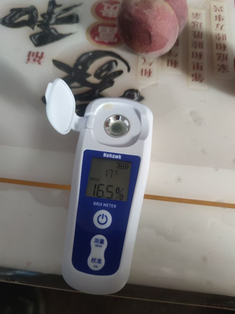 大量供应冬雪蜜桃产区直发