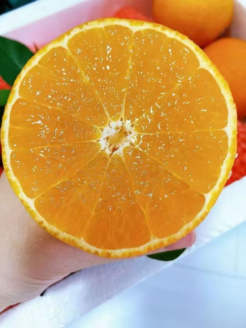 爱媛果冻橙