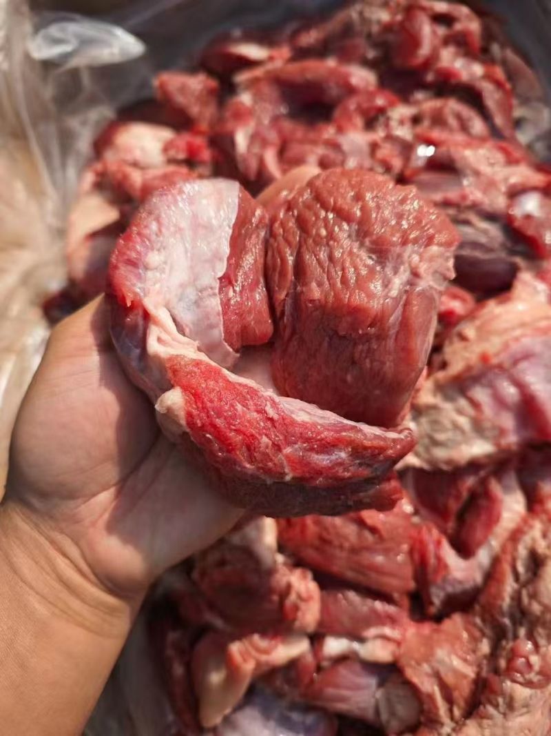 大块牛碎肉，新货