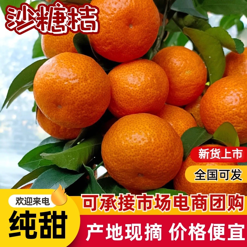 精选金秋砂糖橘皮薄多汁供应商超社区团购市场档口
