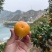 临海涌泉蜜橘