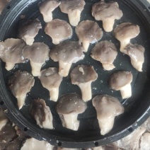 盐水平菇，腌渍平菇，盐渍平菇