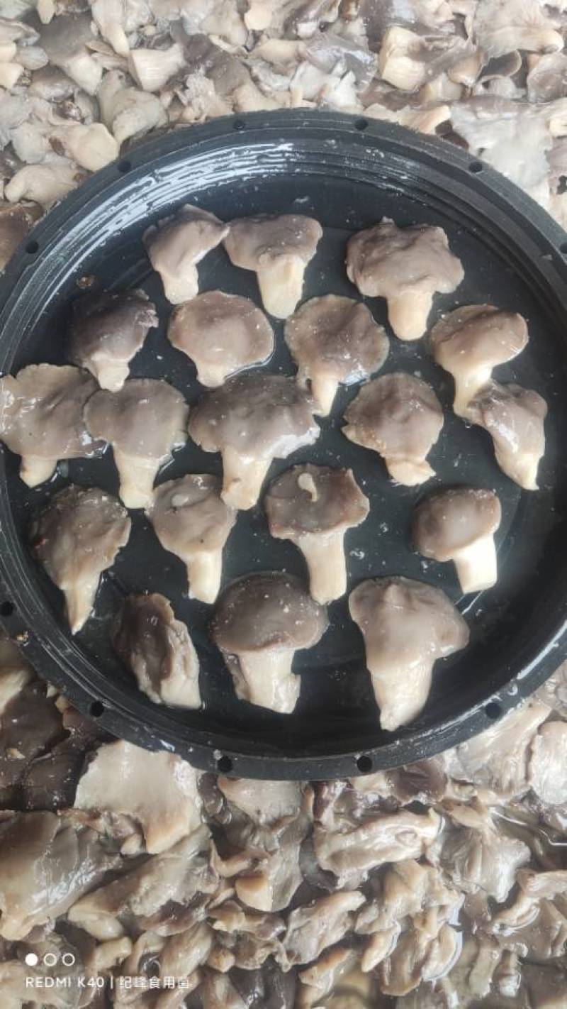 盐水平菇，腌渍平菇，盐渍平菇