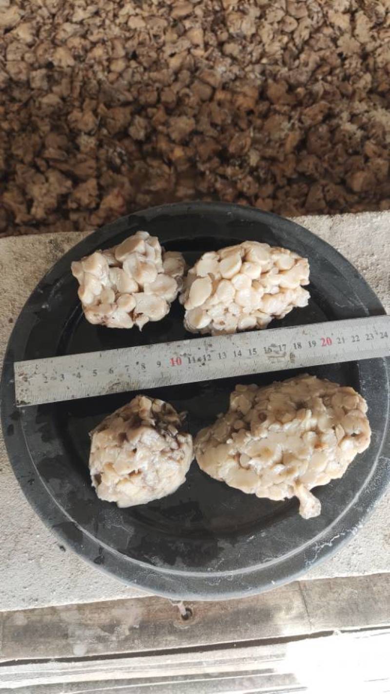 盐水平菇，腌渍平菇，盐渍平菇
