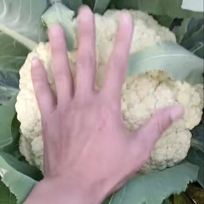 菜花