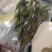 毛慈菇果荚