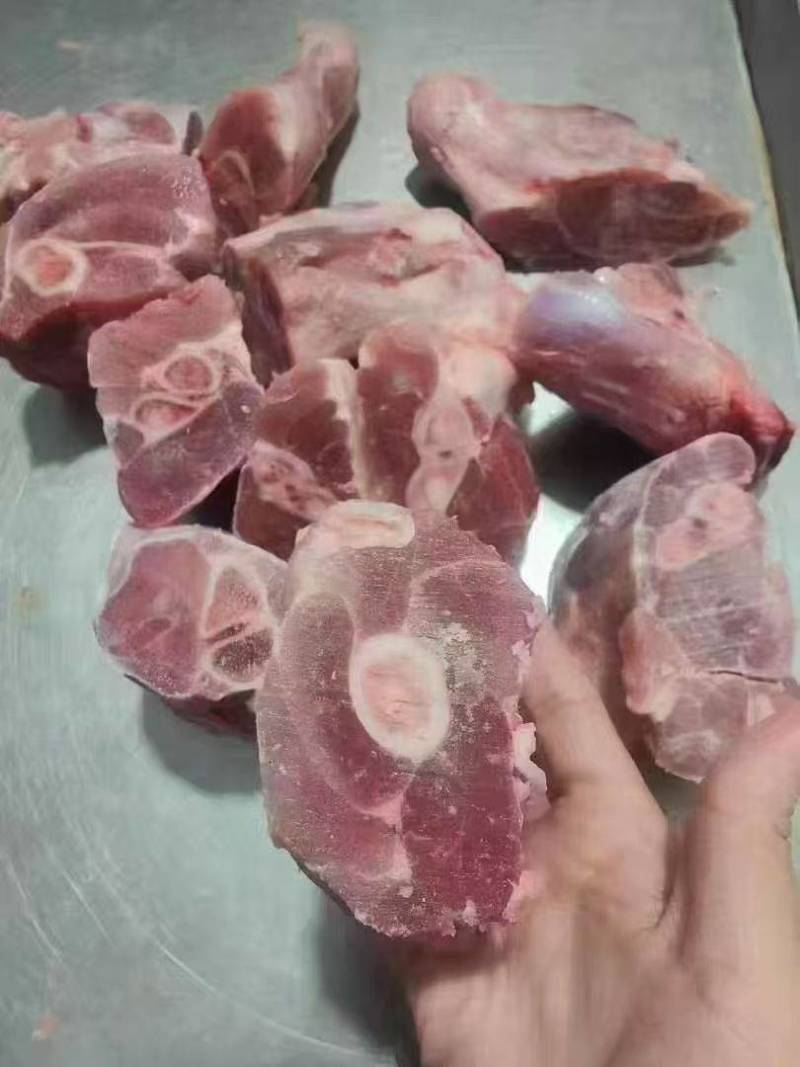 腿骨块