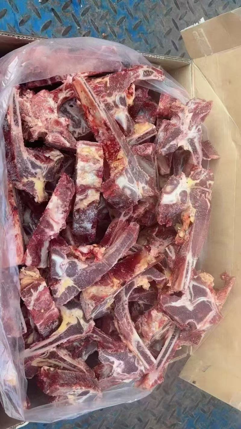 牛肩胛骨牛骨锅，牛骨汤专用