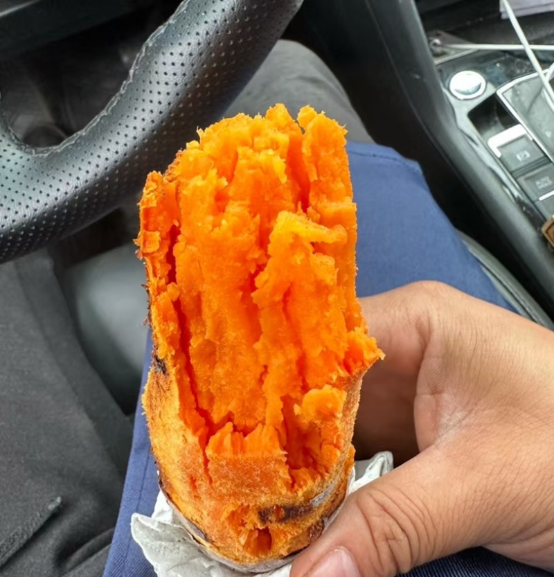 西瓜红精品货