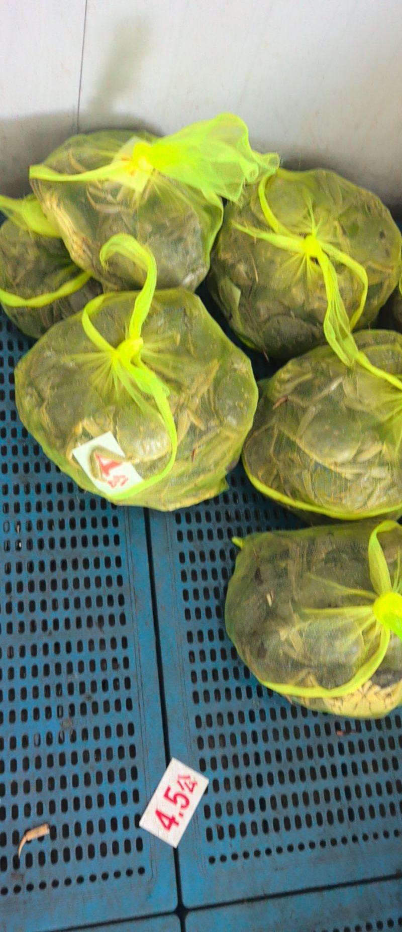 大闸蟹