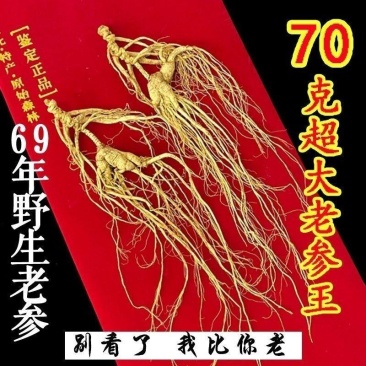 野生老参老山参林下参干参长白山人参送礼礼盒装