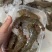 凤尾虾仁蚝蛋烧专用款