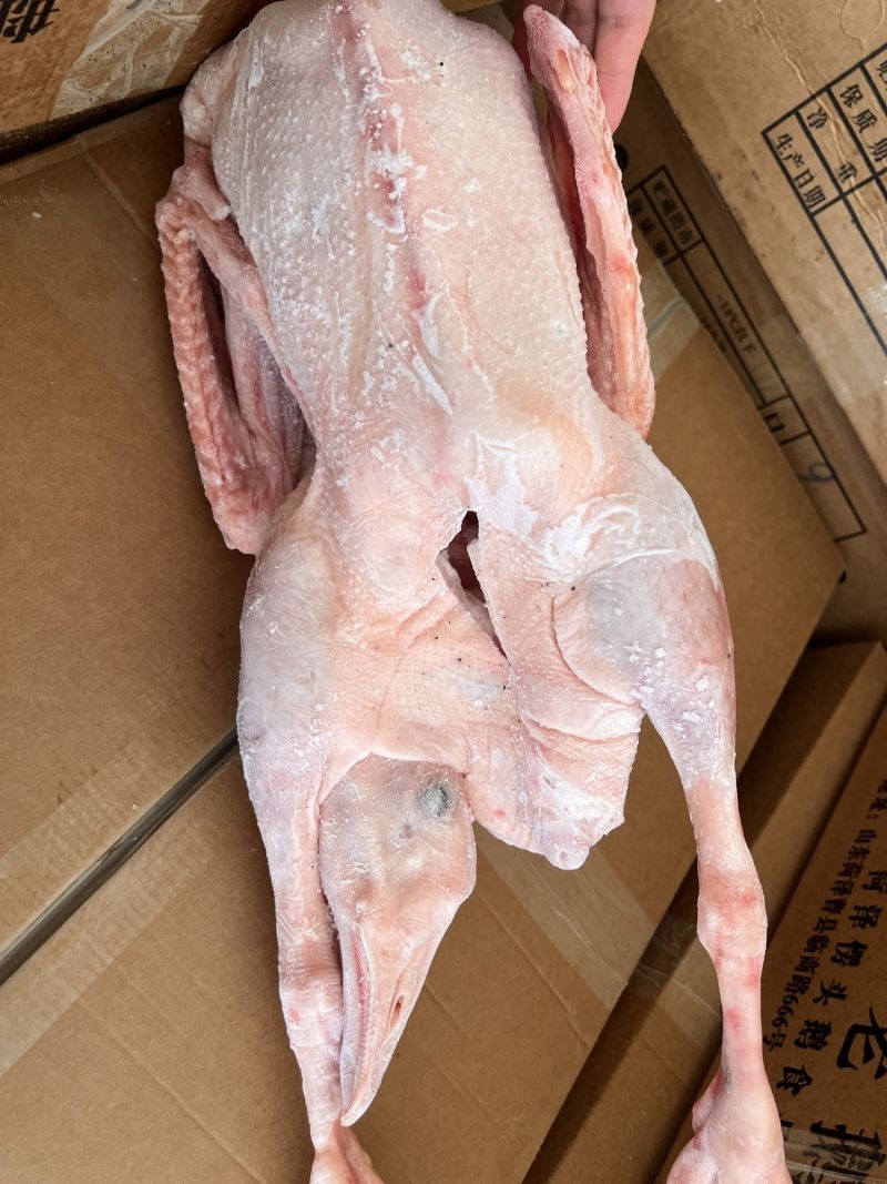 大鹅黄河大鹅纯仔鹅整鹅带心肝