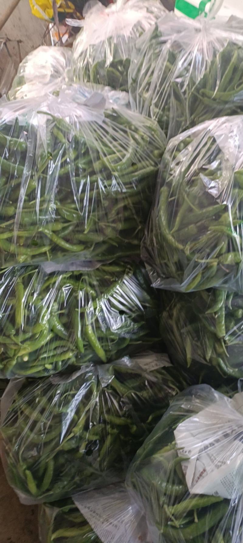 湘妍55号95号2307湘菜馆专用辣椒小炒肉大量有货