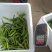 湘妍55号95号2307湘菜馆专用辣椒小炒肉大量有货