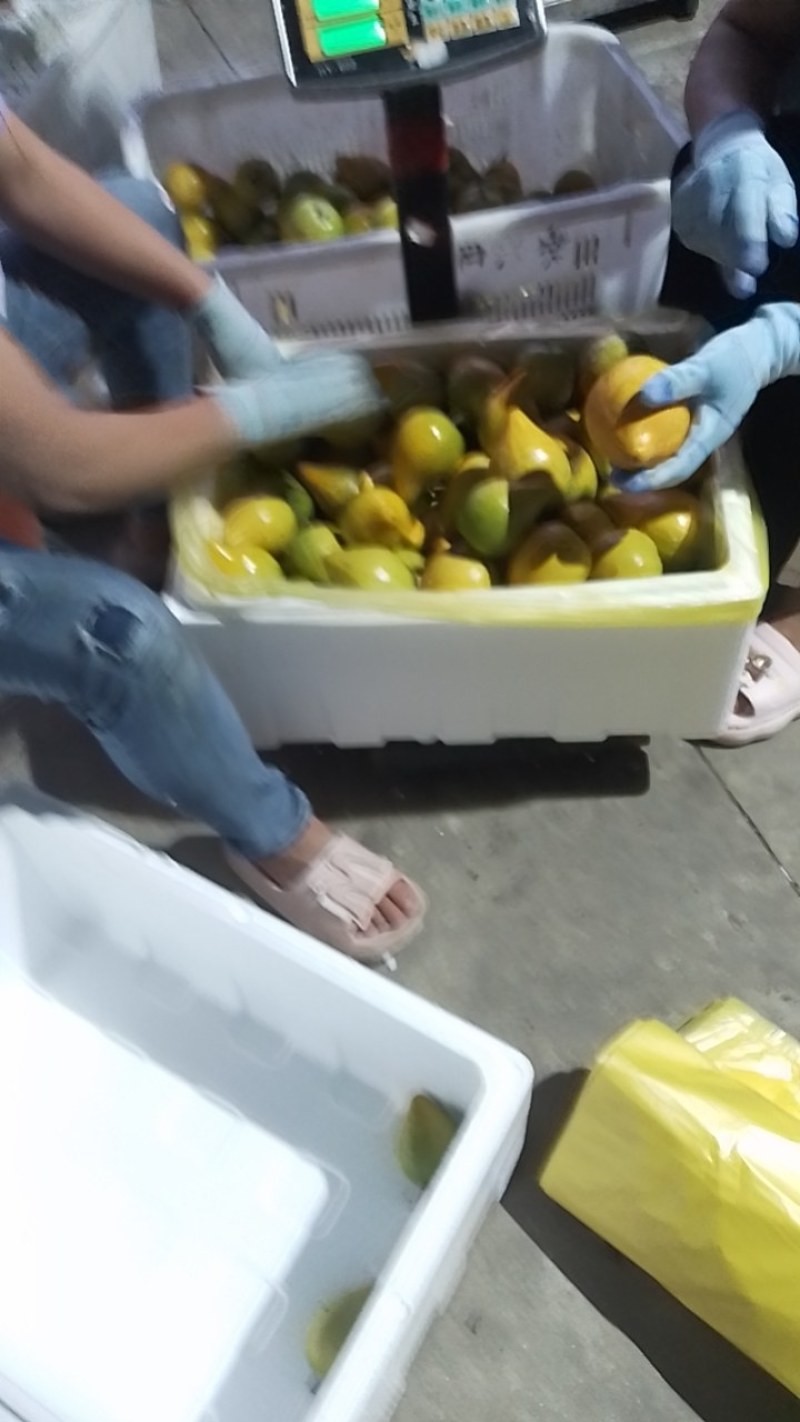 蛋黄果