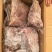 全日鲜带皮羊肉