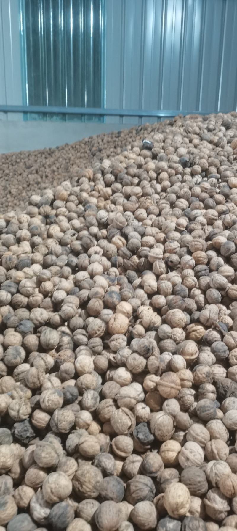 商洛老品种，核桃厚皮核桃
