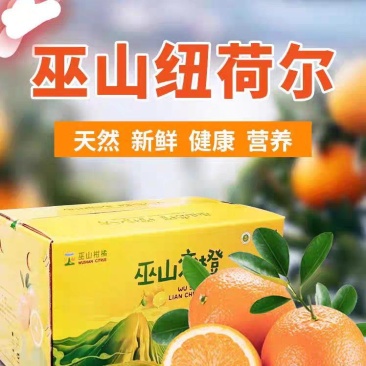 巫山纽荷尔