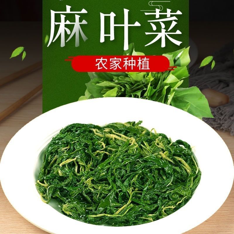 潮汕麻叶菜揭阳青白麻叶潮汕特产正宗凉拌红麻叶蔬菜农产品真