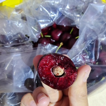 广州江南市场智利车厘子