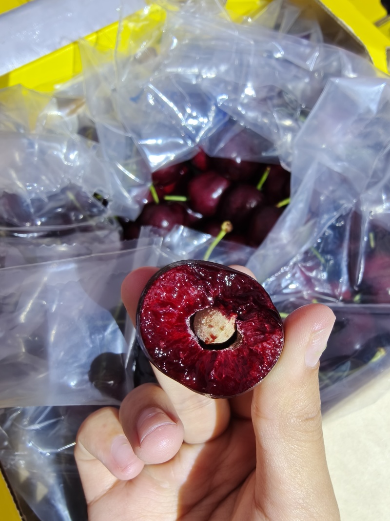 广州江南市场智利车厘子