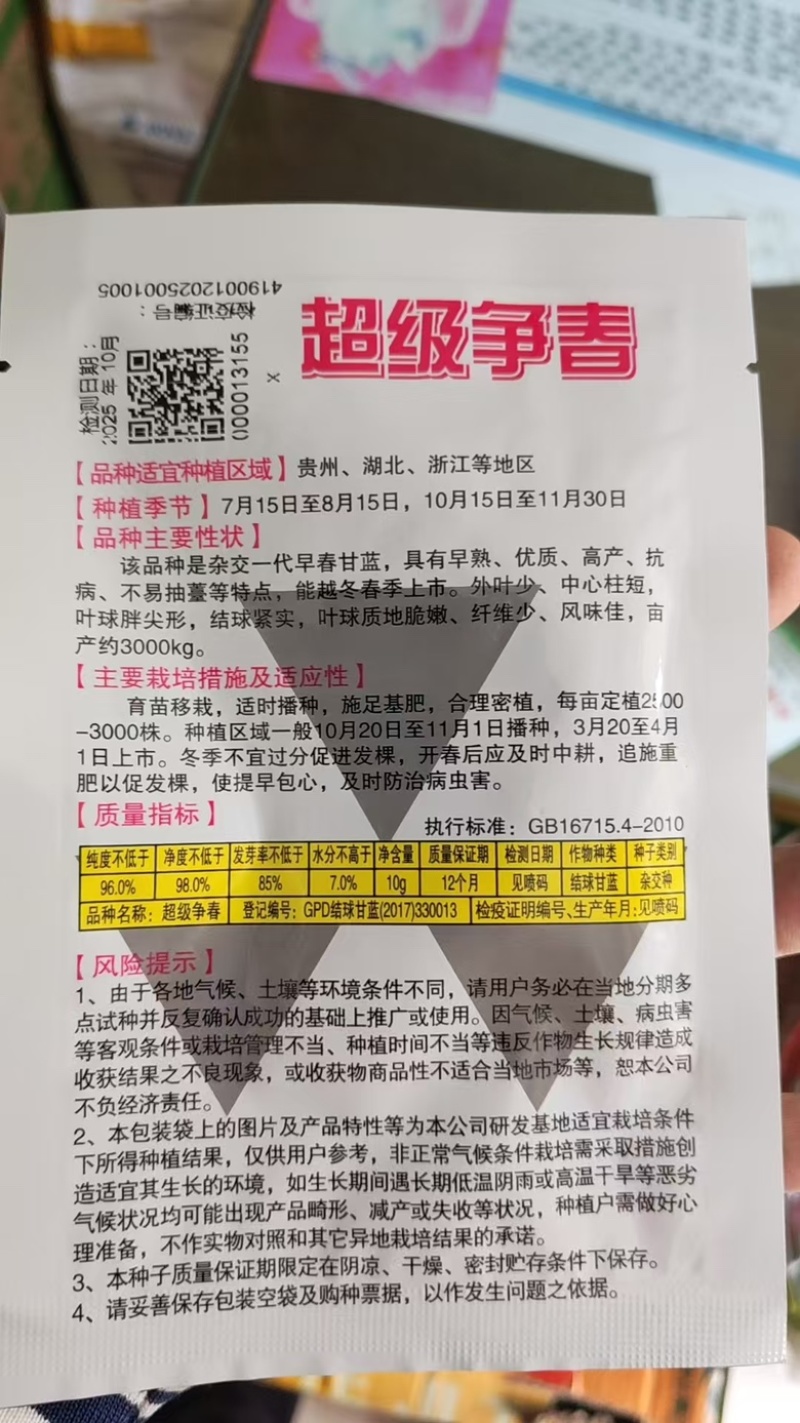 甘蓝种子牛心白种子鸡心白种子尖甘蓝种子牛心甘蓝种子