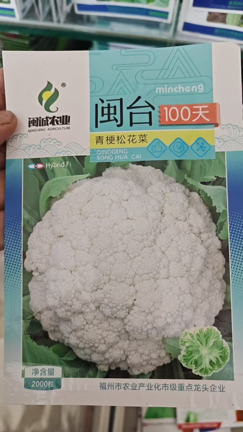 松花菜种子菜花种子100天耐寒青梗菜花种子有机花菜种子
