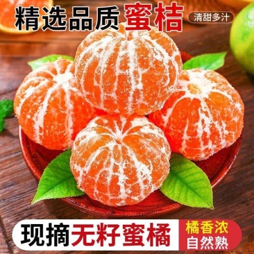 四川蜜橘，精品蜜橘，地头直接采摘上车，颜色漂亮