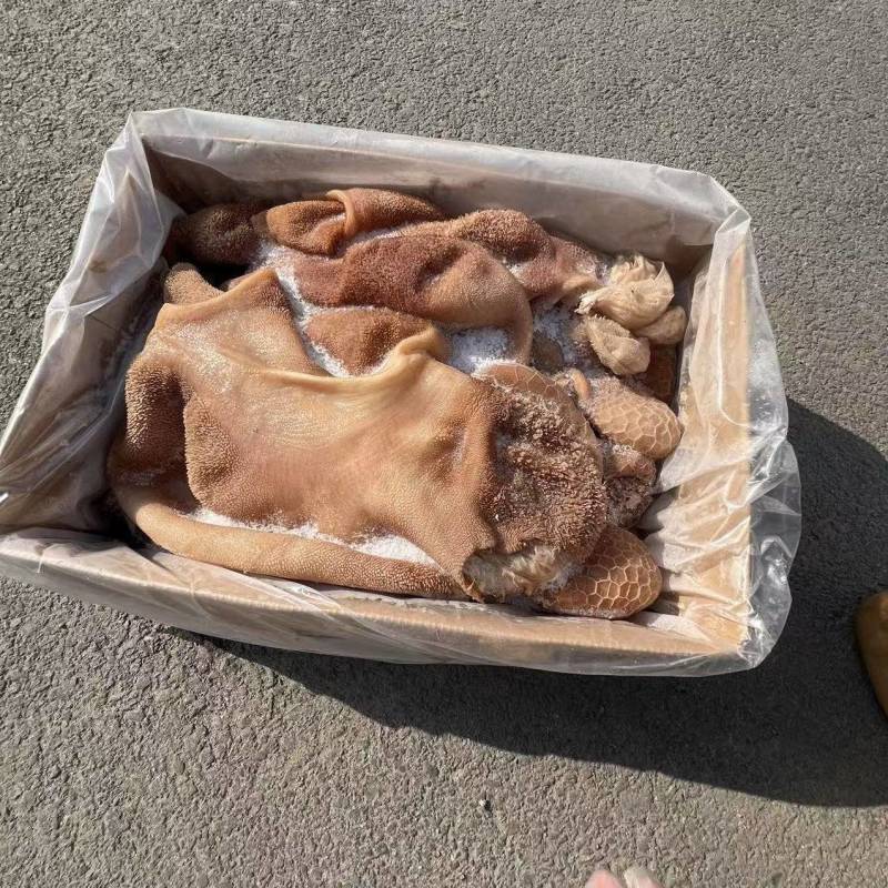 黄羊肚，开箱实拍。品质非常好，**推荐