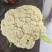 徐州菜花大量上市