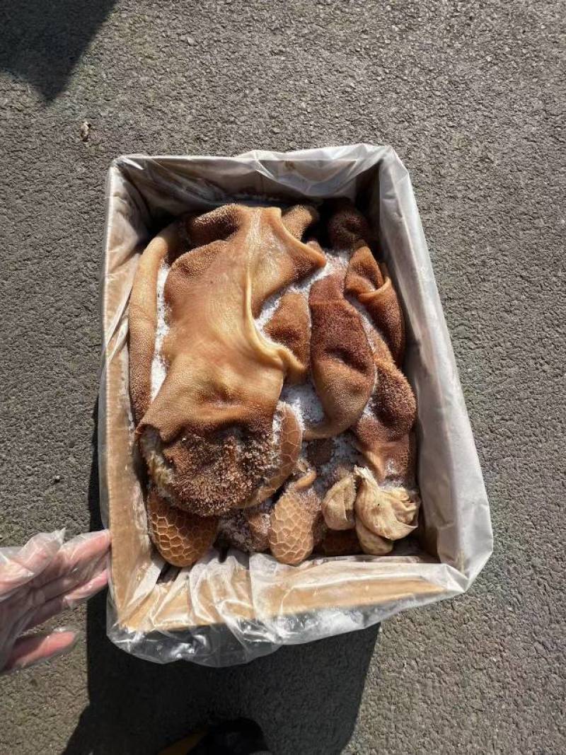 黄羊肚，开箱实拍。品质非常好，**推荐