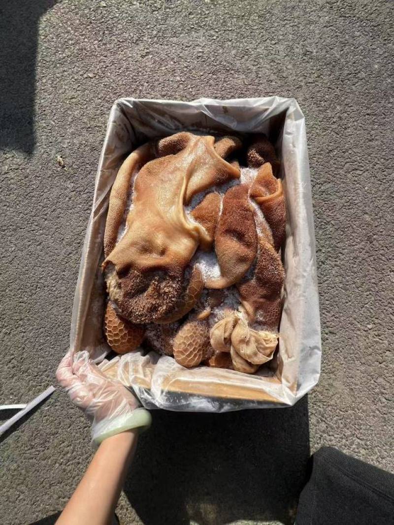 黄羊肚，开箱实拍。品质非常好，**推荐