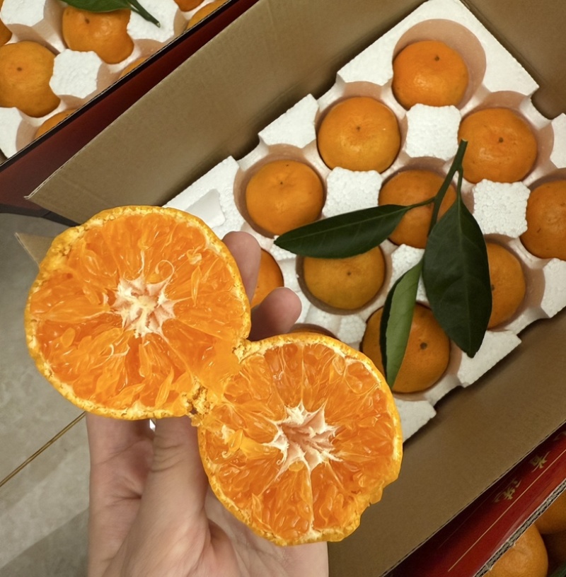 涌泉蜜橘上市开卖了！“天下一奇，吃橘带皮”