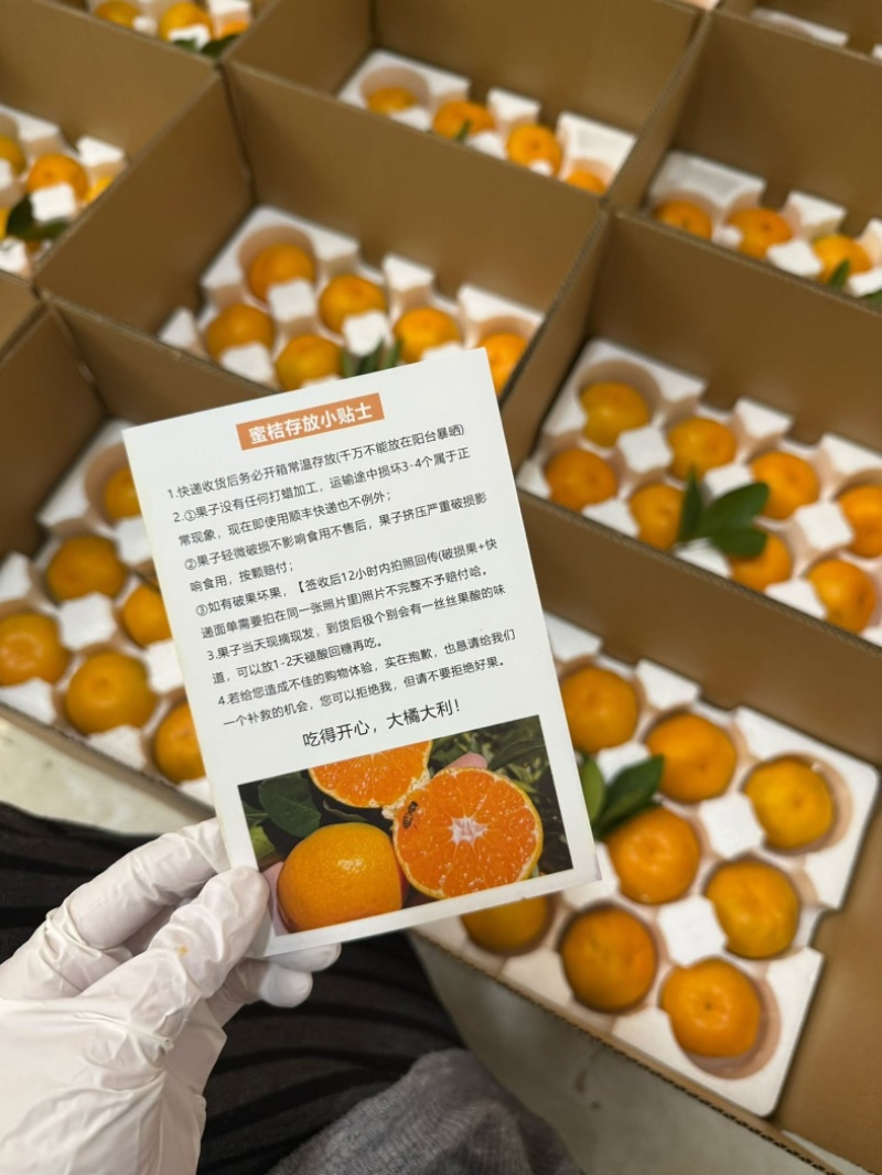 涌泉蜜橘上市开卖了！“天下一奇，吃橘带皮”