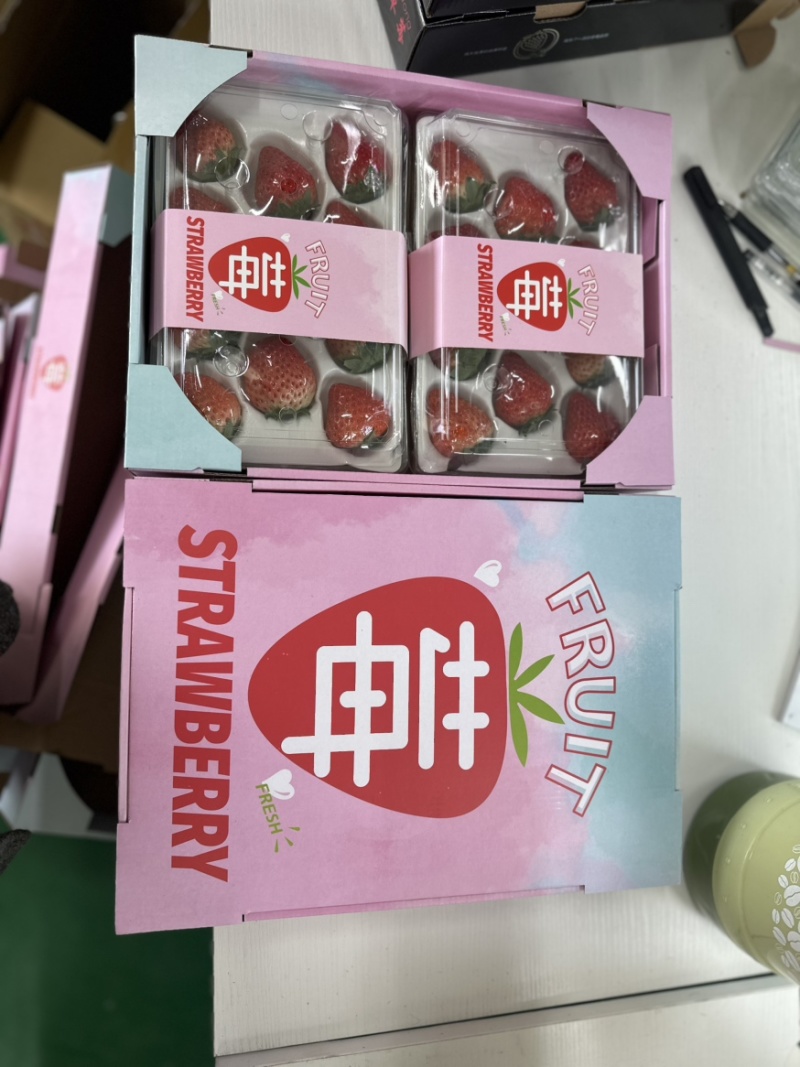 辽宁丹东九九草莓对接全国市场量大从优清甜可口欢迎采购